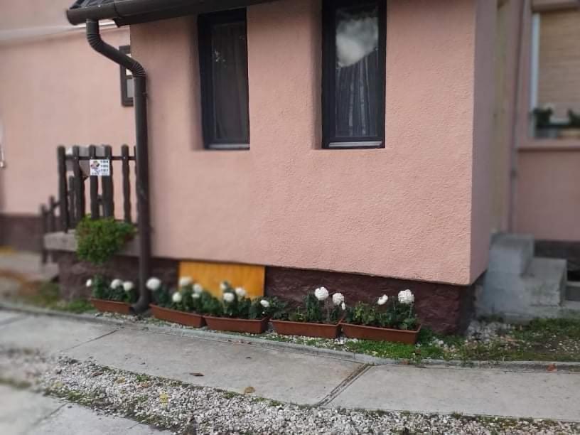 Malomtavi Vendeghaz Tapolca Hotel Exterior photo